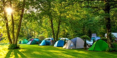 Tents Camping area, early morning, beautiful natural place with big trees and green grass, Europe
